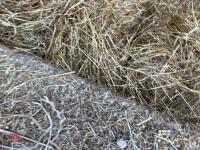 20 SQUARE BALES OF HAYLAGE BIDS PER BALE - 5