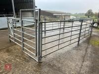 CATTLE HANDLING PEN - 2