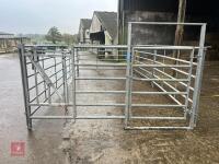 CATTLE HANDLING PEN - 3