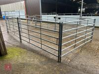 CATTLE HANDLING PEN - 5