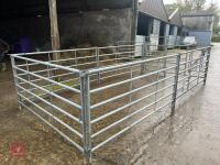 CATTLE HANDLING PEN - 6