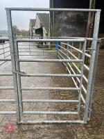 CATTLE HANDLING PEN - 7