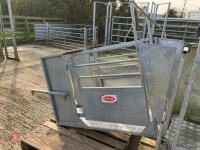 RITCHIE SHEEP COMBI CLAMP - 11