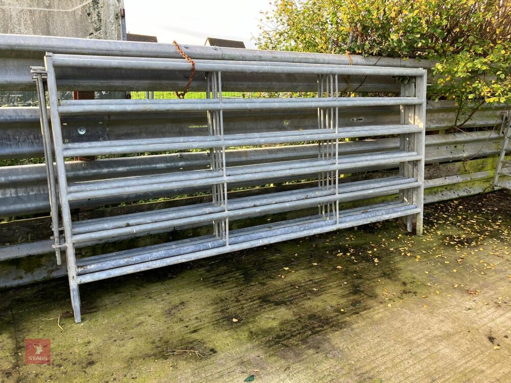 5 X 10' GALVANISED CATTLE HURDLES