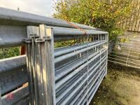 5 X 10' GALVANISED CATTLE HURDLES - 3