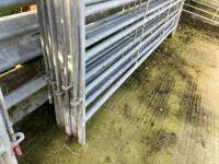 5 X 10' GALVANISED CATTLE HURDLES - 4