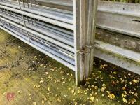 5 X 10' GALVANISED CATTLE HURDLES - 7