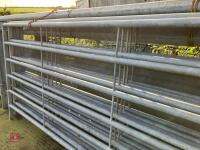 5 X 10' GALVANISED CATTLE HURDLES - 9