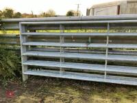 5 X 10' GALVANISED CATTLE HURDLES - 3