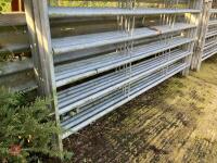 5 X 10' GALVANISED CATTLE HURDLES - 2