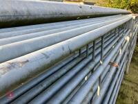 5 X 10' GALVANISED CATTLE HURDLES - 4