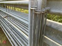 5 X 10' GALVANISED CATTLE HURDLES - 6