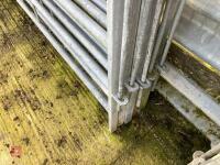 5 X 10' GALVANISED CATTLE HURDLES - 7