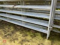 5 X 10' GALVANISED CATTLE HURDLES - 8