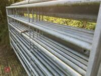 5 X 10' GALVANISED CATTLE HURDLES - 9