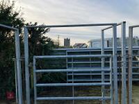 CATTLE HANDLING GATE - 3