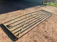 12' GALVANISED FIELD GATE (6) - 3