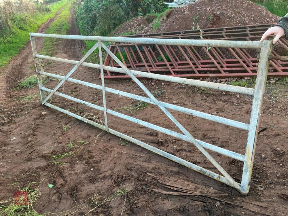 11' HD GALVANISED YARD GATE (1)