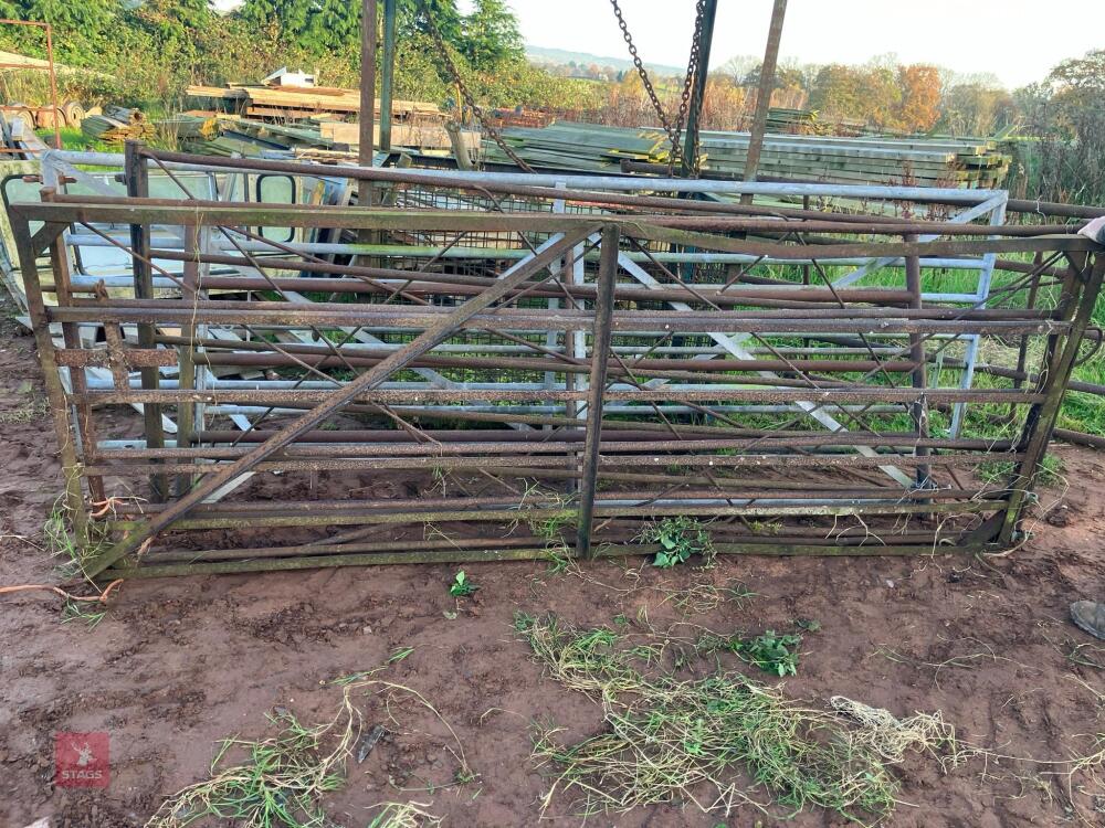 3 X 10' MIXED METAL GATES