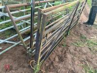 3 X 10' MIXED METAL GATES - 2