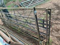 3 X 10' MIXED METAL GATES - 4