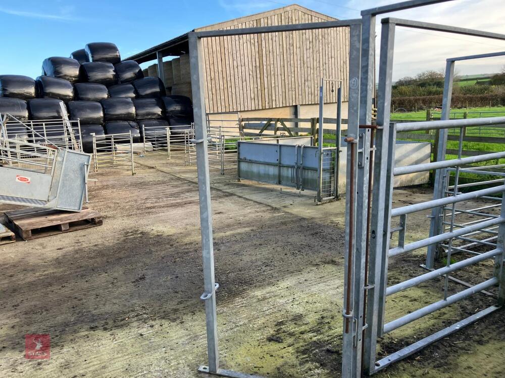 GALVANISED CATTLE RACE JOINER