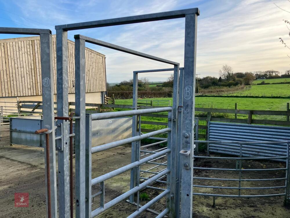 GALVANISED CATTLE RACE JOINER