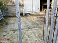 GALVANISED CATTLE RACE JOINER - 6