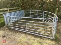 SHEEP FORCING GATE/SYSTEM