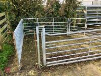 SHEEP FORCING GATE/SYSTEM - 2