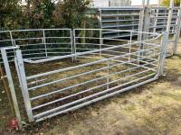 SHEEP FORCING GATE/SYSTEM - 3