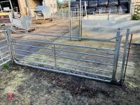 SHEEP FORCING GATE/SYSTEM - 4