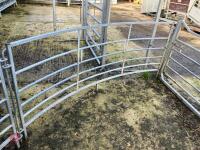 SHEEP FORCING GATE/SYSTEM - 5