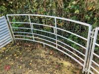 SHEEP FORCING GATE/SYSTEM - 6