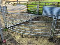 SHEEP FORCING GATE/SYSTEM - 9