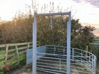 SHEEP GUILLOTINE GATE - 5