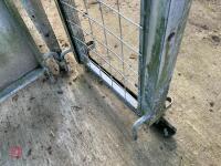 SHEEP GUILLOTINE GATE - 8