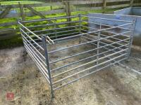 4 GALVANISED 6' SHEEP HURDLES - 3