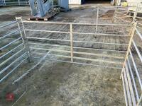 4 GALVANISED 6' SHEEP HURDLES - 8