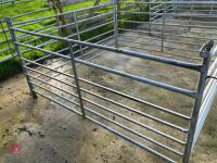 4 GALVANISED 6' SHEEP HURDLES - 6