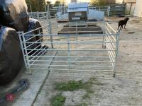 4 GALVANISED 6' SHEEP HURDLES - 7