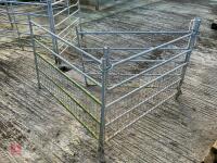 3 X 4' GALVANISED SHEEP HURDLES