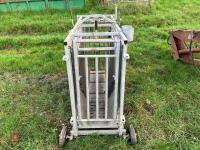 BATEMAN GALVANISED WEIGH CRATE - 9