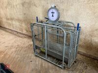 IAE GALVANISED LAMB WEIGH CRATE (9) - 2