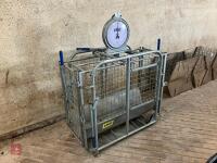 IAE GALVANISED LAMB WEIGH CRATE (9) - 4