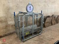 IAE GALVANISED LAMB WEIGH CRATE (9) - 5