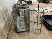 IAE GALVANISED LAMB WEIGH CRATE (9) - 8