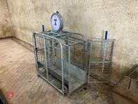 IAE GALVANISED LAMB WEIGH CRATE (9) - 15