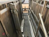 RAPPA 10 SHEEP HANDLING SYSTEM (11) - 9