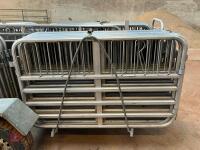 RAPPA 10 SHEEP HANDLING SYSTEM (11) - 14